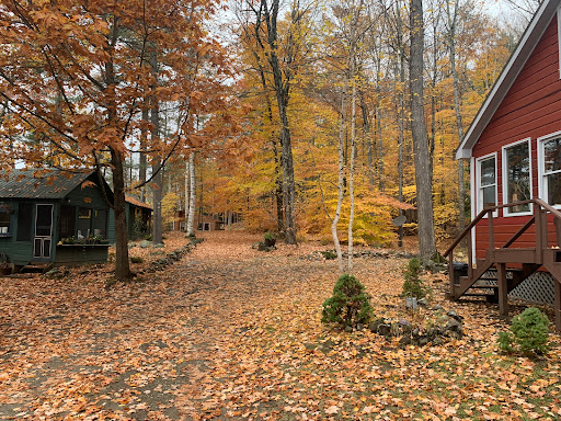 ﻿278 Fraternaland Cabins