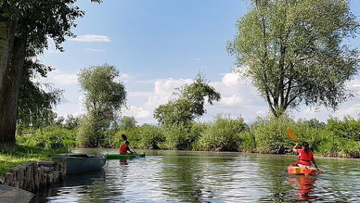 Outdoor Adventure Professional ﻿River village kayak & canoe in ﻿Rockwood MI