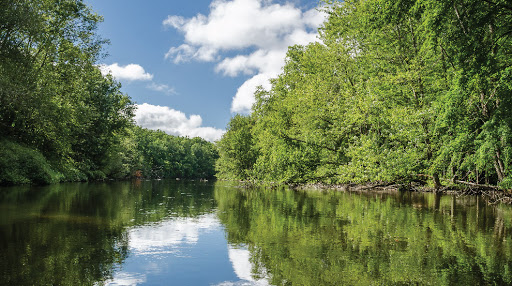 Outdoor Adventure Professional ﻿Huron River Water Trail c/o Huron River Watershed Council in ﻿Ann Arbor MI