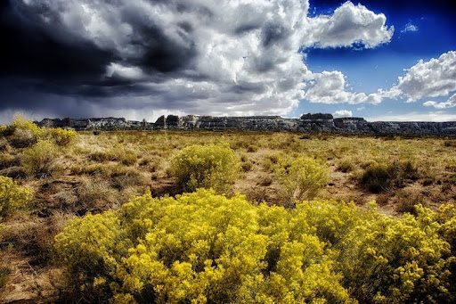 Outdoor Adventure Professional ﻿San Juan Citizens Alliance in ﻿Durango CO