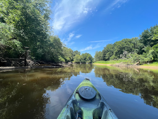 Outdoor Adventure Professional ﻿Blackwater Outfitters/Nottoway River Guides in ﻿Courtland VA