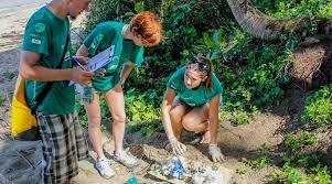 Wildlife Conservation Projects: Volunteering for a Cause