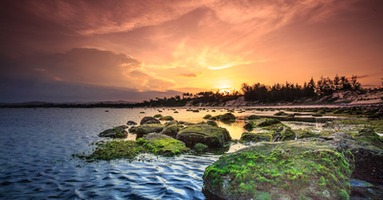 Outdoor Photography Tips for Capturing Wildlife