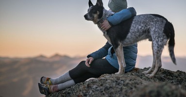 Adventure Travel with Pets: Tips for Adventurous Animal Companions