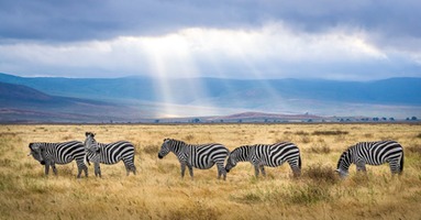 Outdoor Adventures in Africa: Safaris, Trekking, and Cultural Experiences