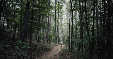 Hiking the Appalachian Trail: Tales from a Long-Distance Trek