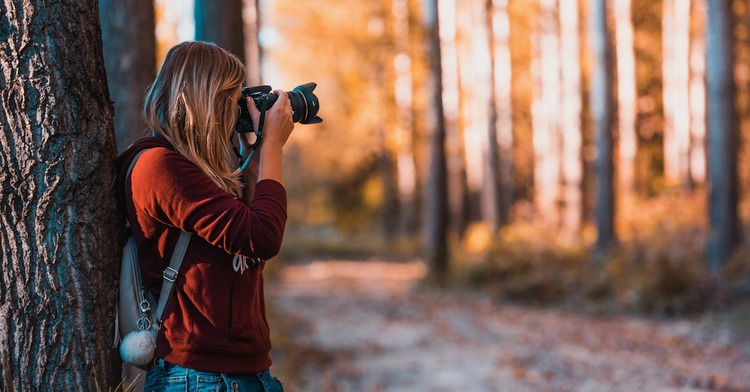 Wildlife Photography Ethics: Guidelines for Responsible Nature Photographers