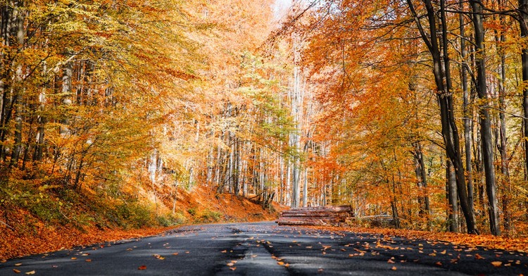 The Best National Parks for Fall Foliage